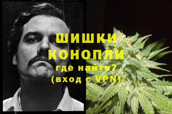 стафф Ростов