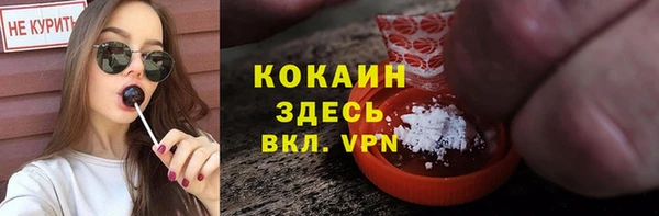 крисы Зерноград