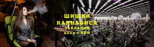 крисы Зерноград