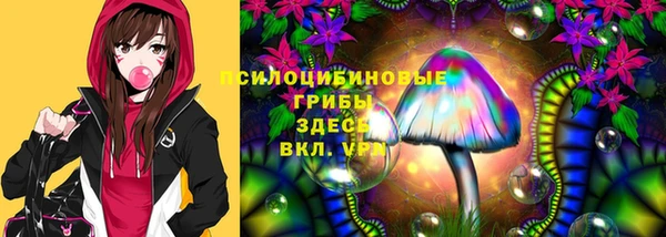 стафф Ростов