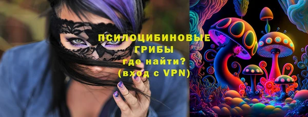 бошки Зеленокумск