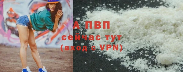 стафф Ростов