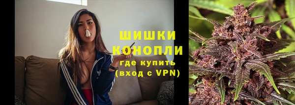 крисы Зерноград