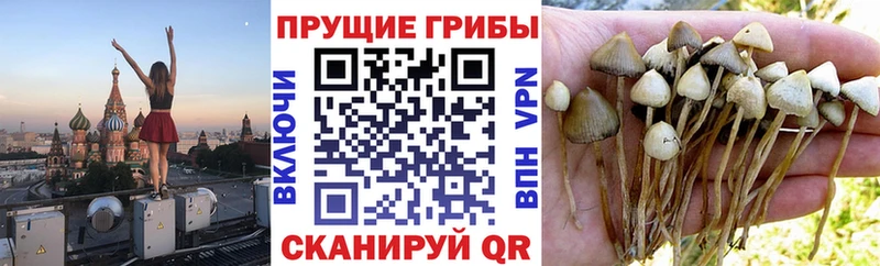 Галлюциногенные грибы ЛСД  наркотики  Сибай 