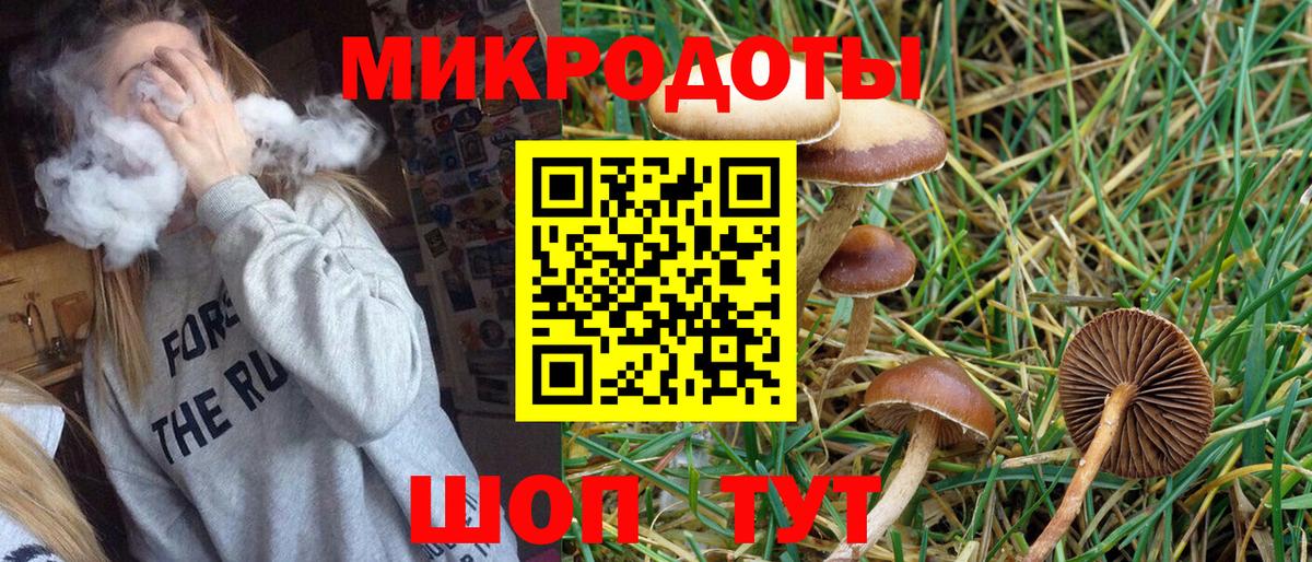 Галлюциногенные грибы Cubensis Сибай
