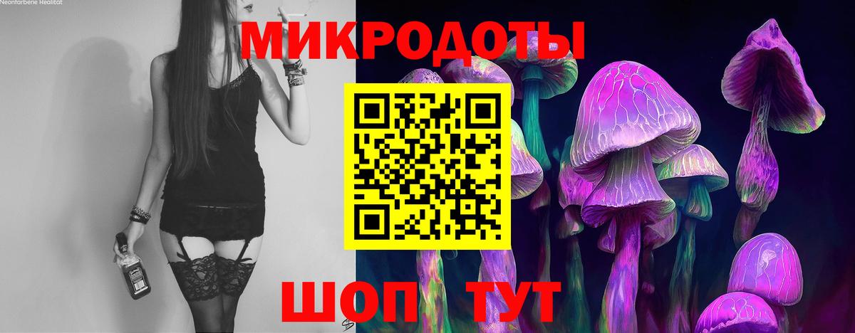 Галлюциногенные грибы Psilocybine cubensis  Вход с VPN  Галлюциногенные грибы MAGIC MUSHROOMS  Сибай 